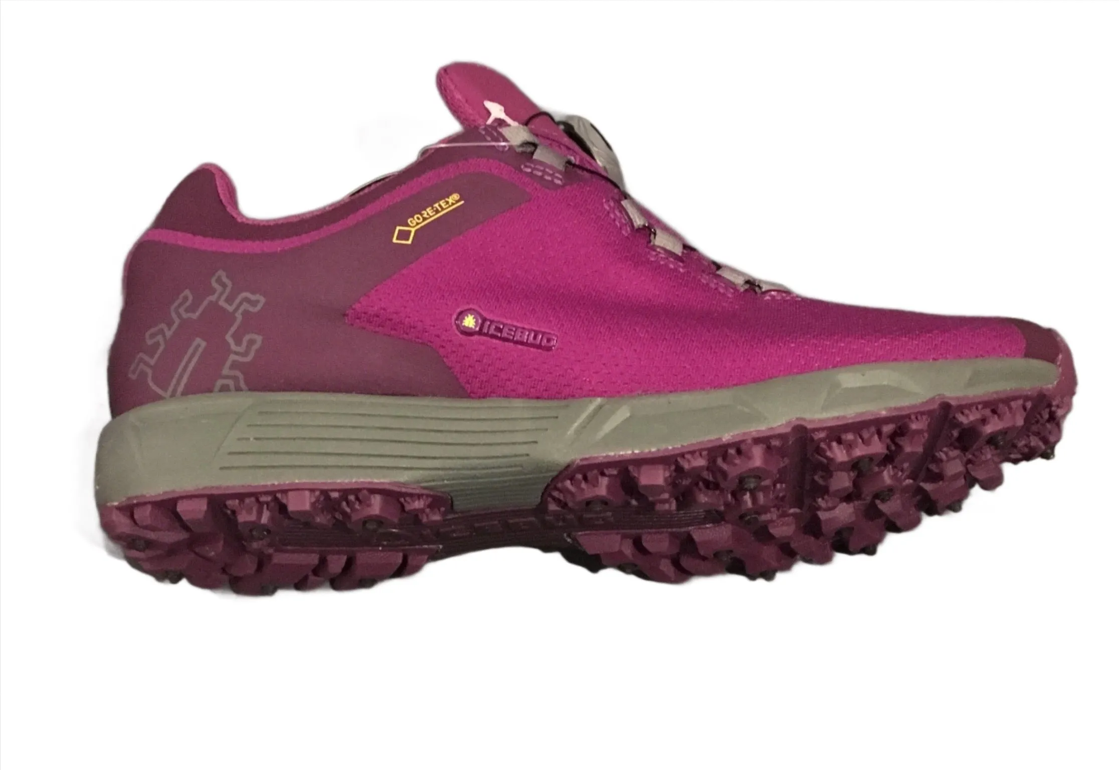 Icebug DTS3 studded Gore-tex Women's Shoe