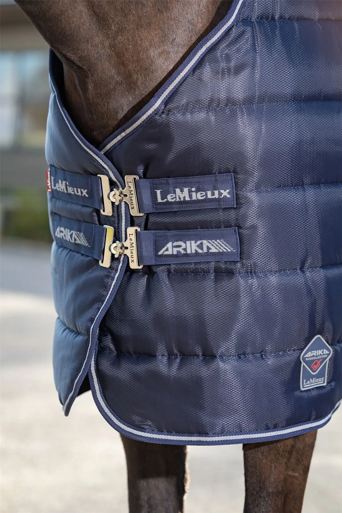 LeMieux Arika Stable-Tek 100g