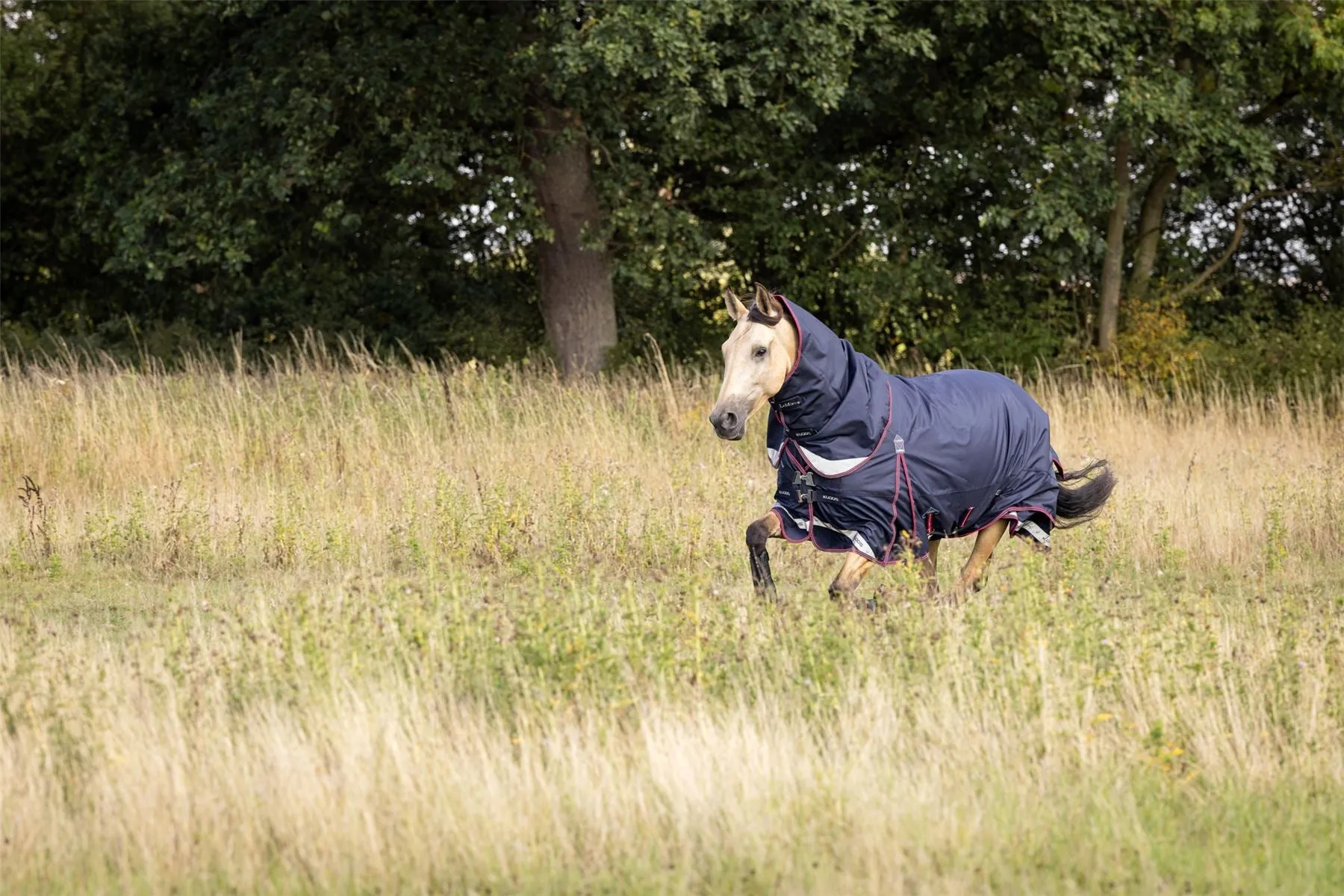 LeMieux Kudos Turnout Rug 100g