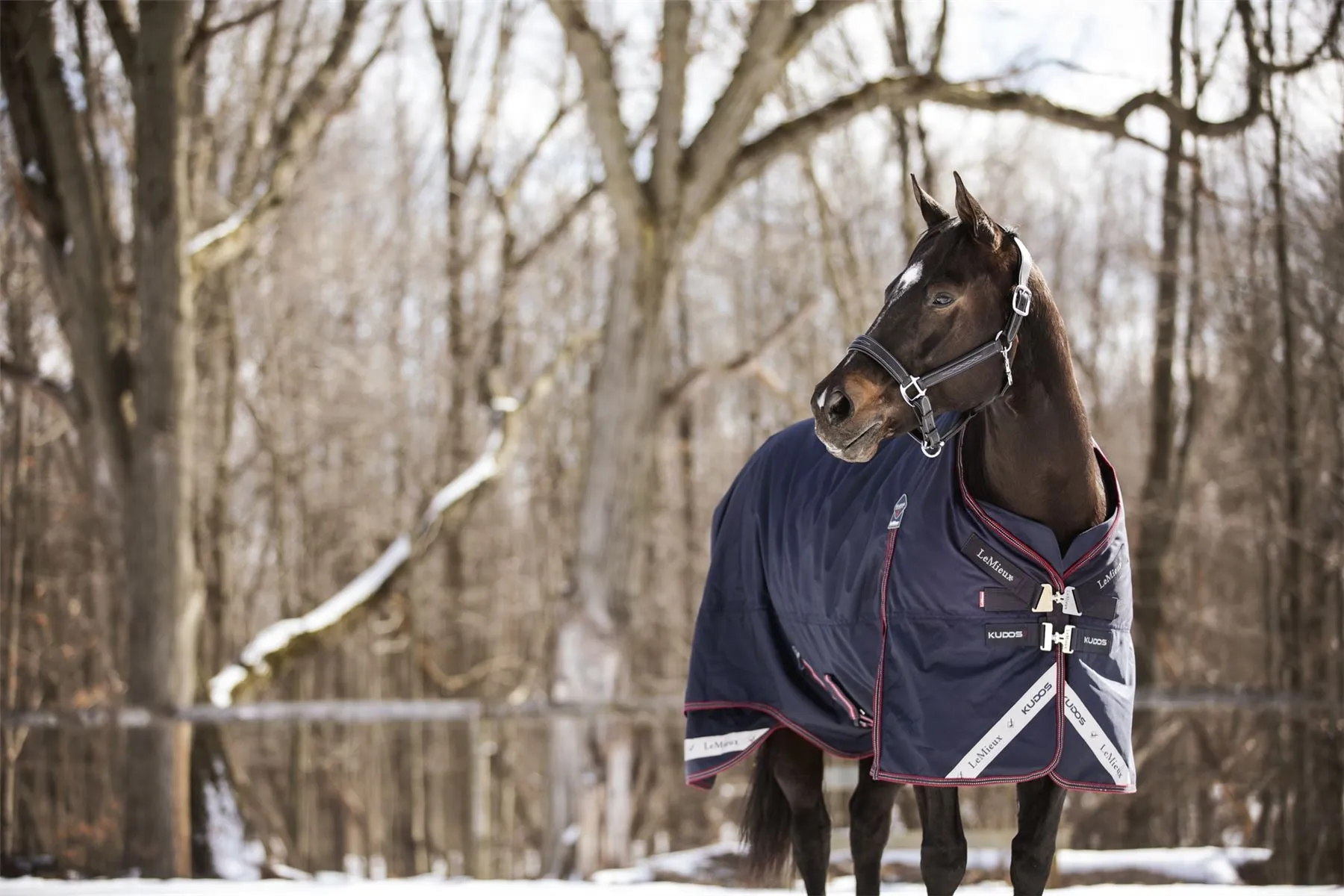 LeMieux Kudos Turnout Rug 100g