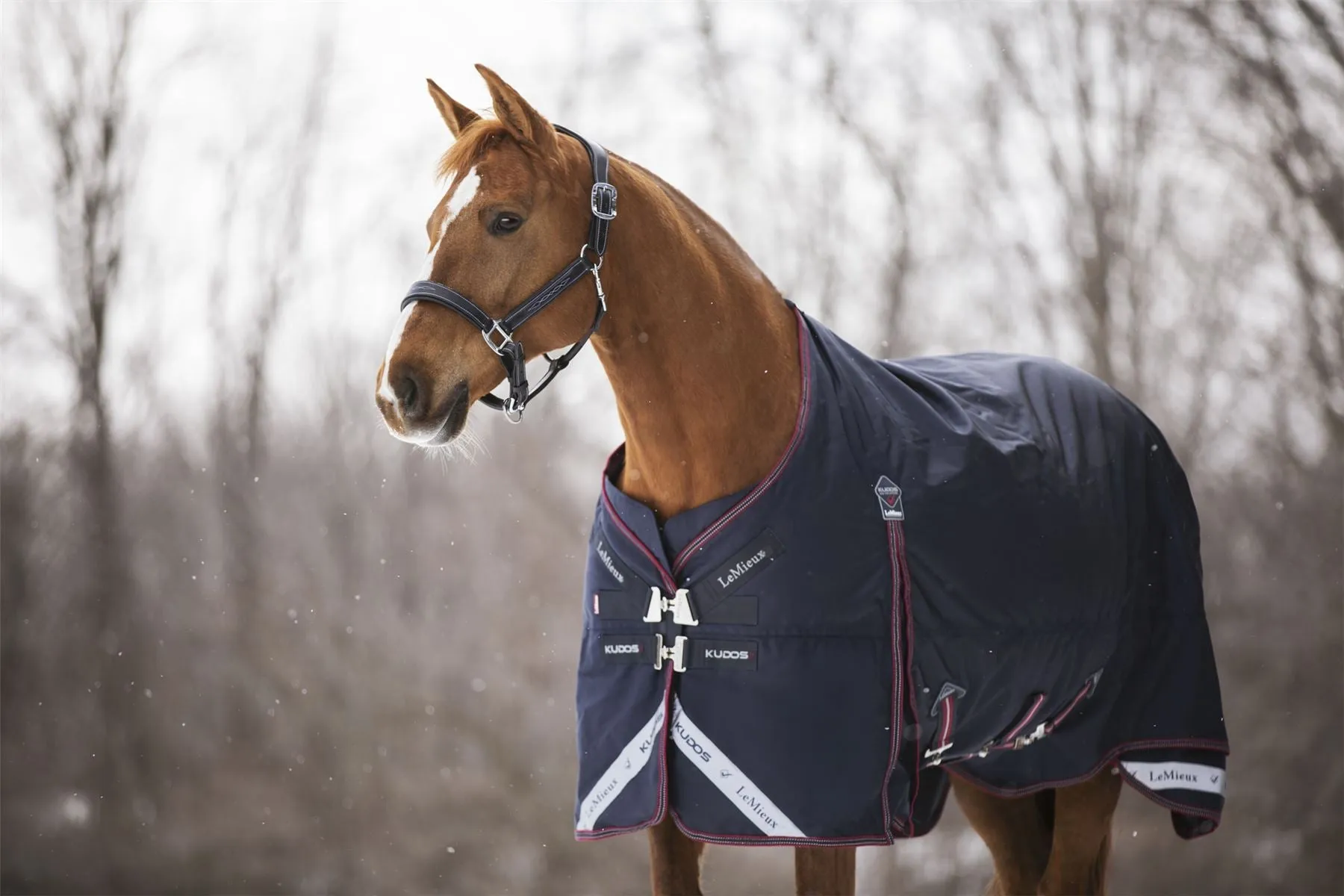 LeMieux Kudos Turnout Rug 100g