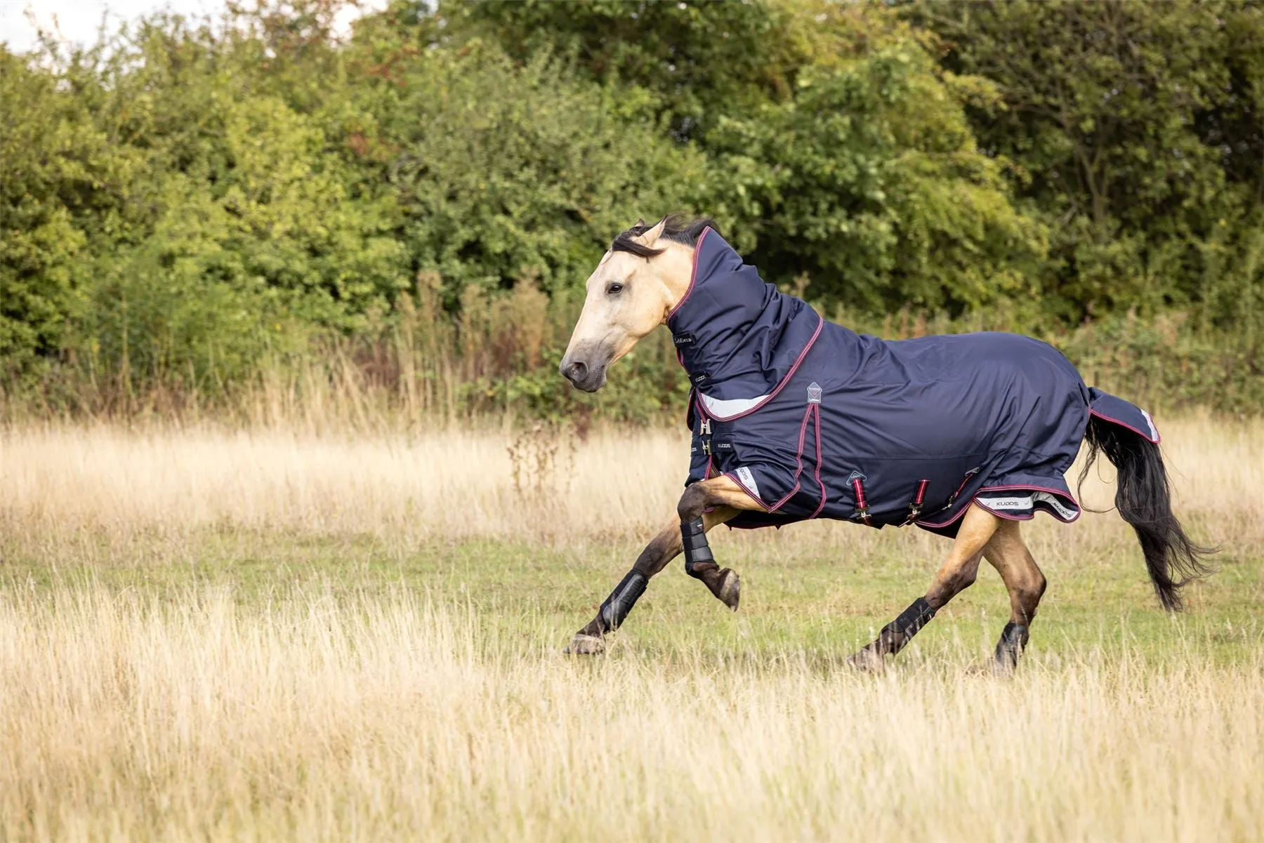 LeMieux Kudos Turnout Rug 100g