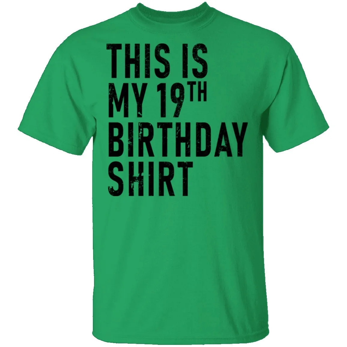 This Is My 19th Birthday Shirt T-Shirt